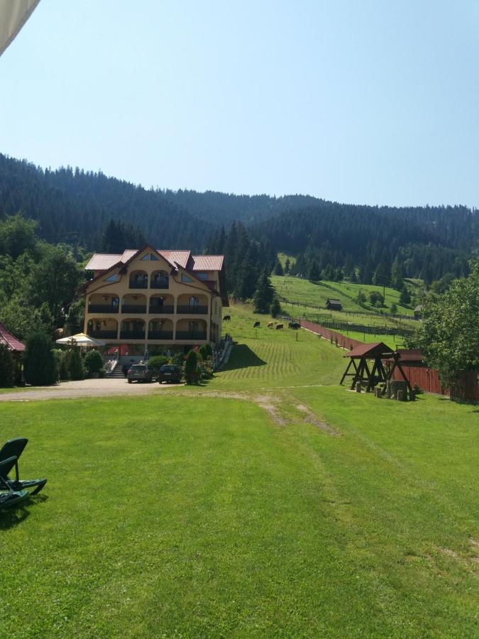 Hotel Pensiunea Alunis Sadova  Esterno foto