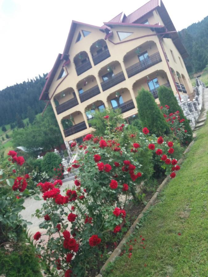 Hotel Pensiunea Alunis Sadova  Esterno foto