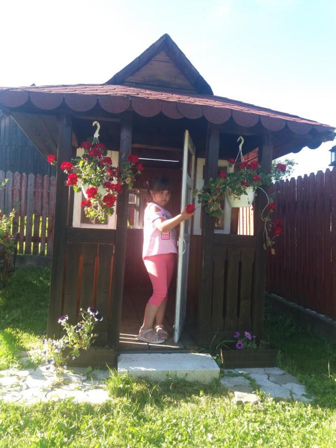 Hotel Pensiunea Alunis Sadova  Esterno foto