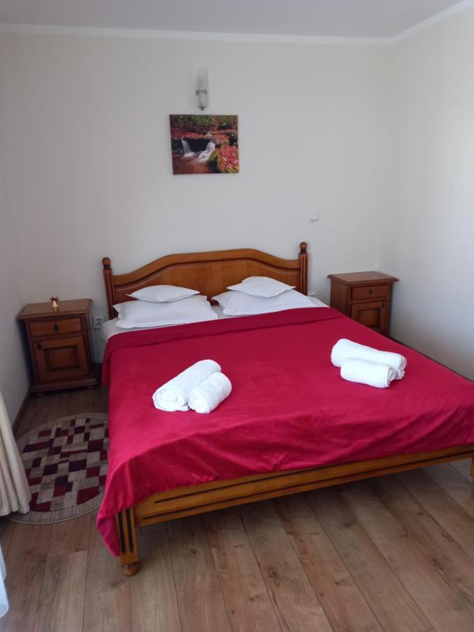 Hotel Pensiunea Alunis Sadova  Esterno foto