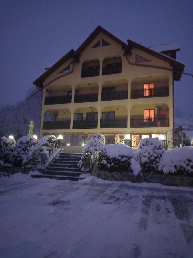 Hotel Pensiunea Alunis Sadova  Esterno foto