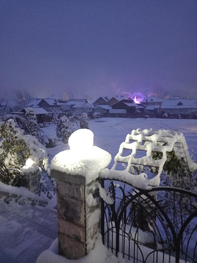 Hotel Pensiunea Alunis Sadova  Esterno foto