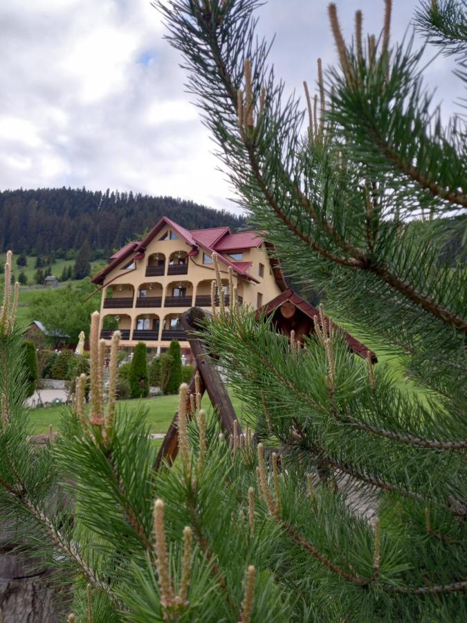 Hotel Pensiunea Alunis Sadova  Esterno foto