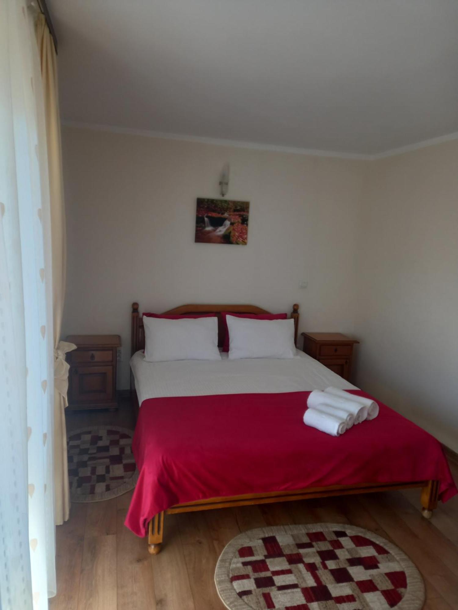 Hotel Pensiunea Alunis Sadova  Esterno foto