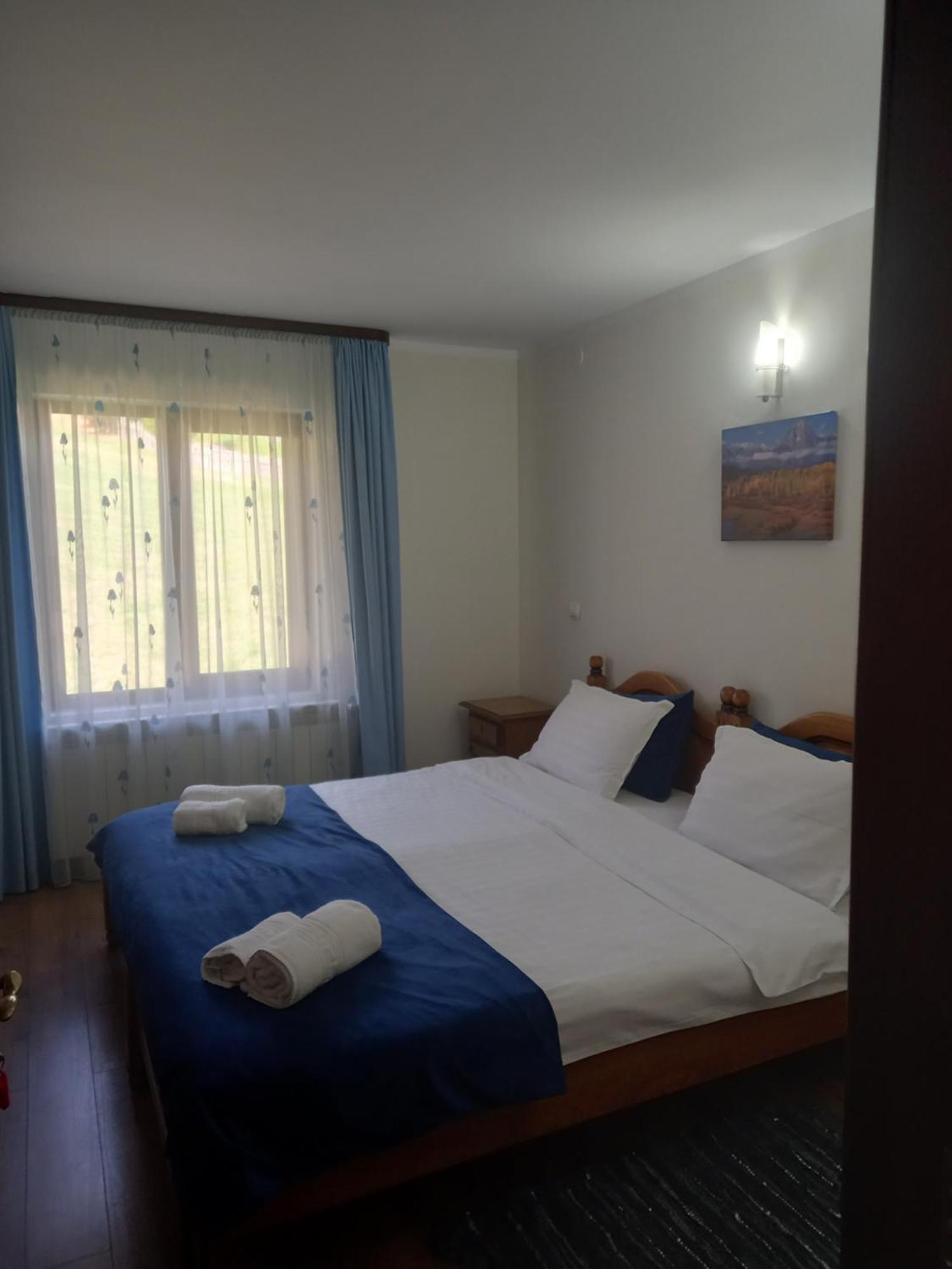 Hotel Pensiunea Alunis Sadova  Esterno foto