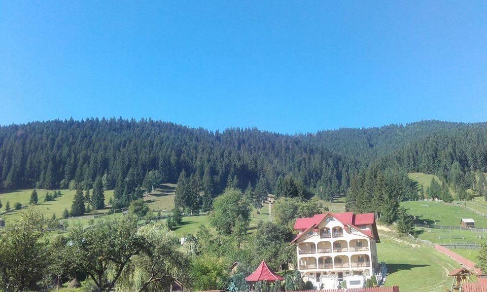 Hotel Pensiunea Alunis Sadova  Esterno foto