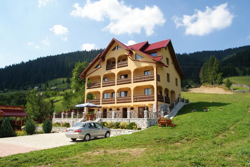 Hotel Pensiunea Alunis Sadova  Esterno foto