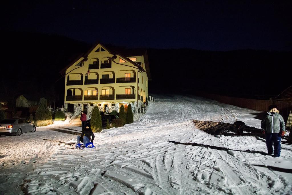 Hotel Pensiunea Alunis Sadova  Esterno foto