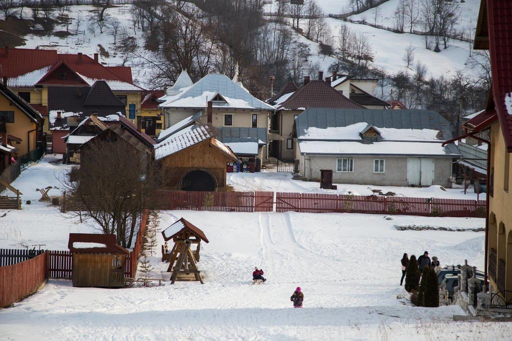 Hotel Pensiunea Alunis Sadova  Esterno foto