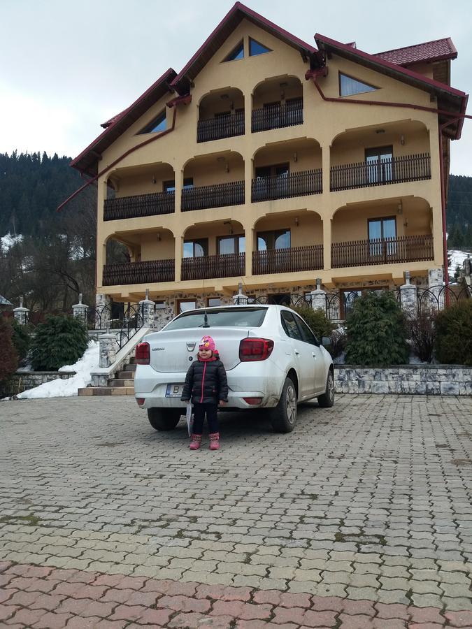 Hotel Pensiunea Alunis Sadova  Esterno foto