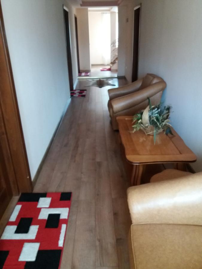 Hotel Pensiunea Alunis Sadova  Esterno foto