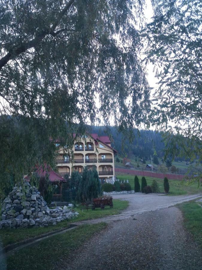 Hotel Pensiunea Alunis Sadova  Esterno foto