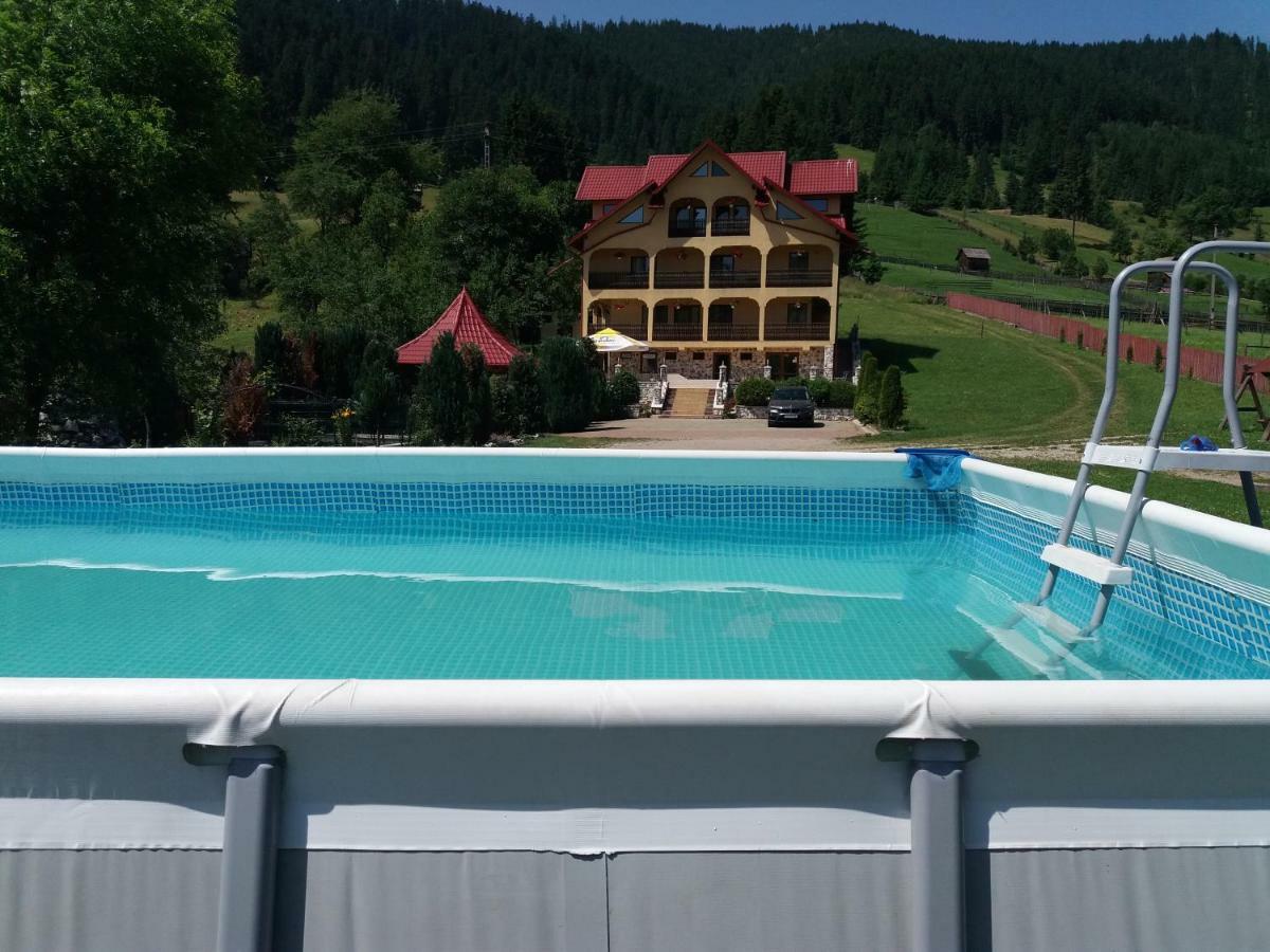 Hotel Pensiunea Alunis Sadova  Esterno foto