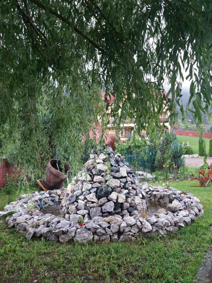 Hotel Pensiunea Alunis Sadova  Esterno foto