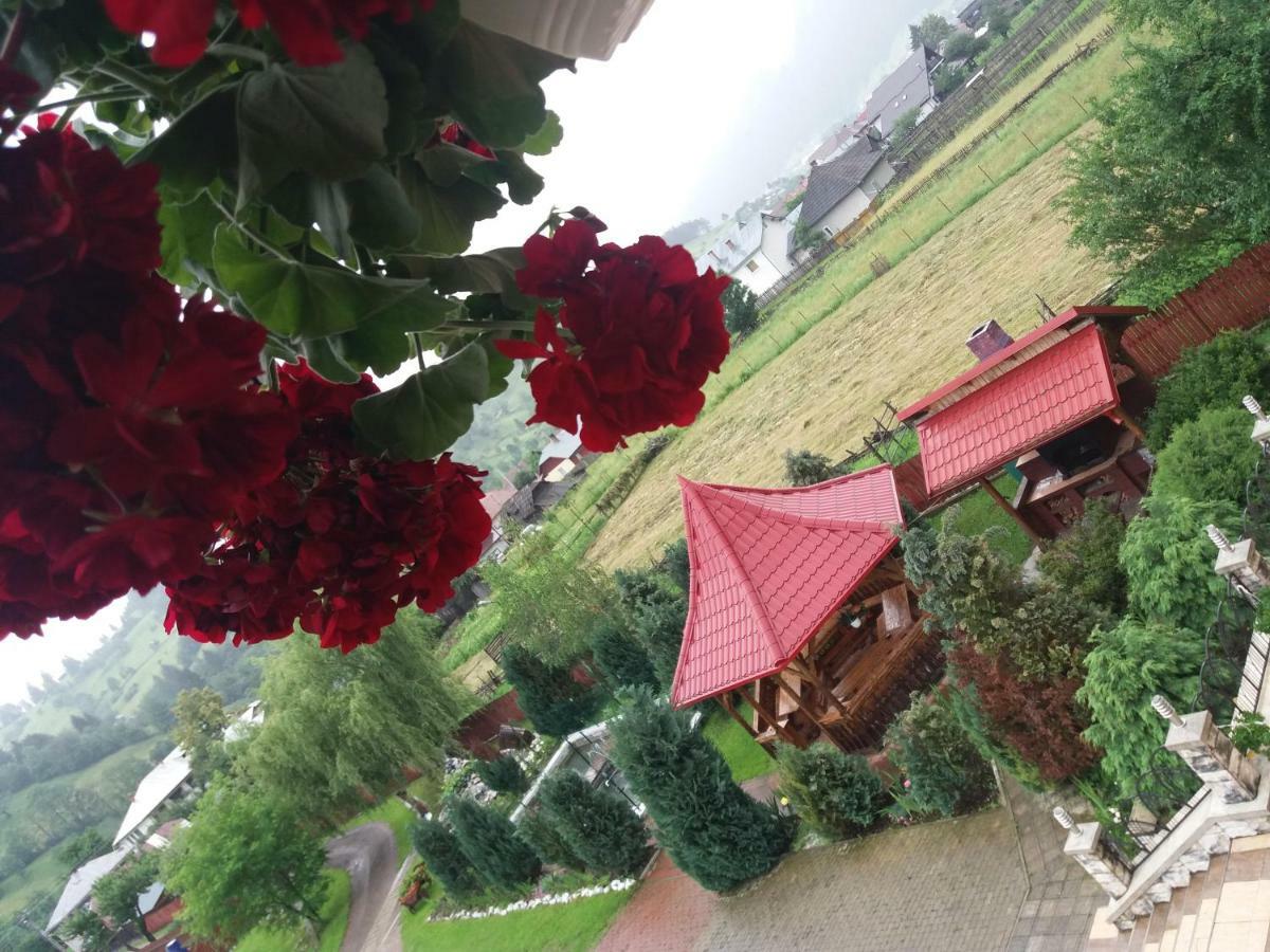 Hotel Pensiunea Alunis Sadova  Esterno foto